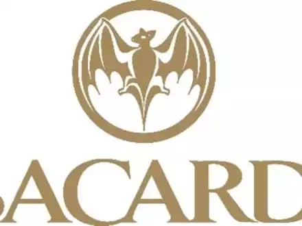 Diese Trends werden die Trinkgewohnheiten 2024 prägen: Der Bacardi Cocktail Trends Report 2024 - Foto: presseportal.de