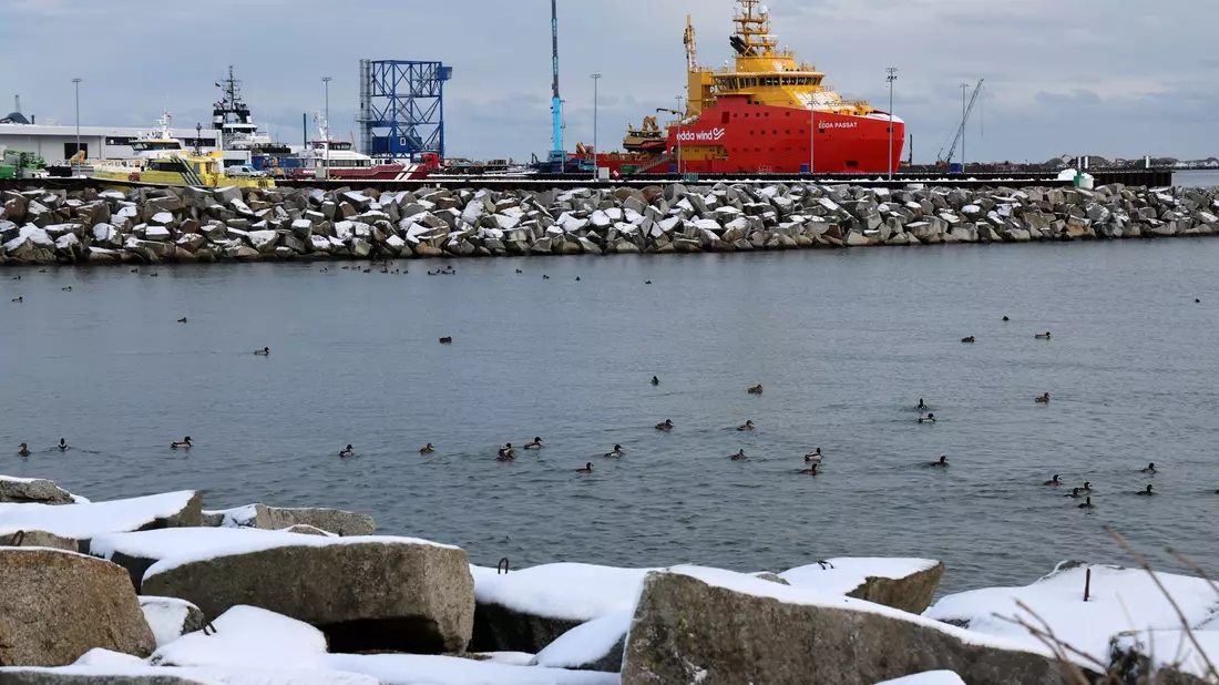 Im Hafen Mukran auf Rügen soll ein LNG-Terminal entstehen. - Bild: Bernd Wüstneck/dpa