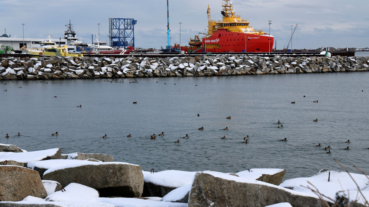 Im Hafen Mukran auf Rügen soll ein LNG-Terminal entstehen. - Foto: Bernd Wüstneck/dpa