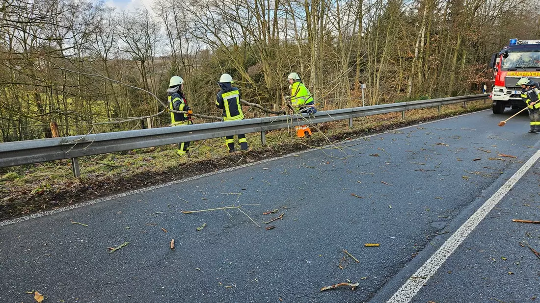 FW-EN: Baum auf Fahrbahn - Bild: presseportal.de