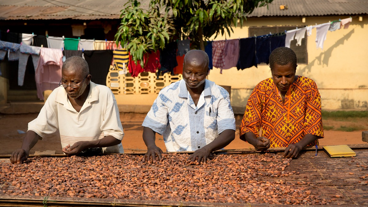 Bitterer Beigeschmack zum Weihnachtsfest: Was Schokolade mit illegaler Kinderarbeit und moderner Sklaverei zu tun hat - Foto: presseportal.de