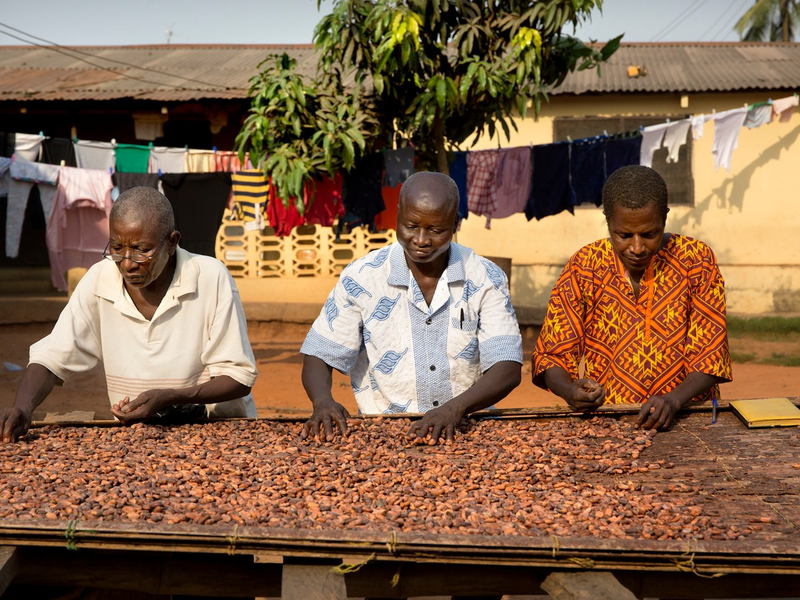 Bitterer Beigeschmack zum Weihnachtsfest: Was Schokolade mit illegaler Kinderarbeit und moderner Sklaverei zu tun hat - Foto: presseportal.de