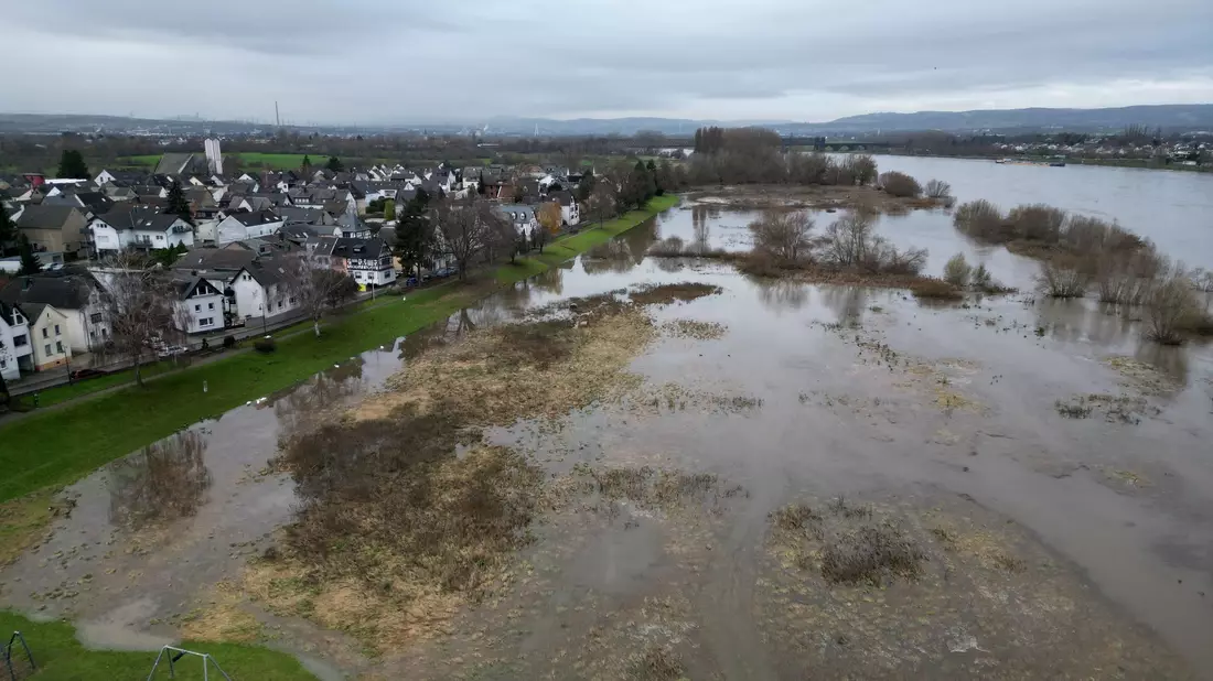Die Uferwiese von Kaltenengers ist vom Hochwasser des Rheins überflutet. - Bild: Thomas Frey/dpa