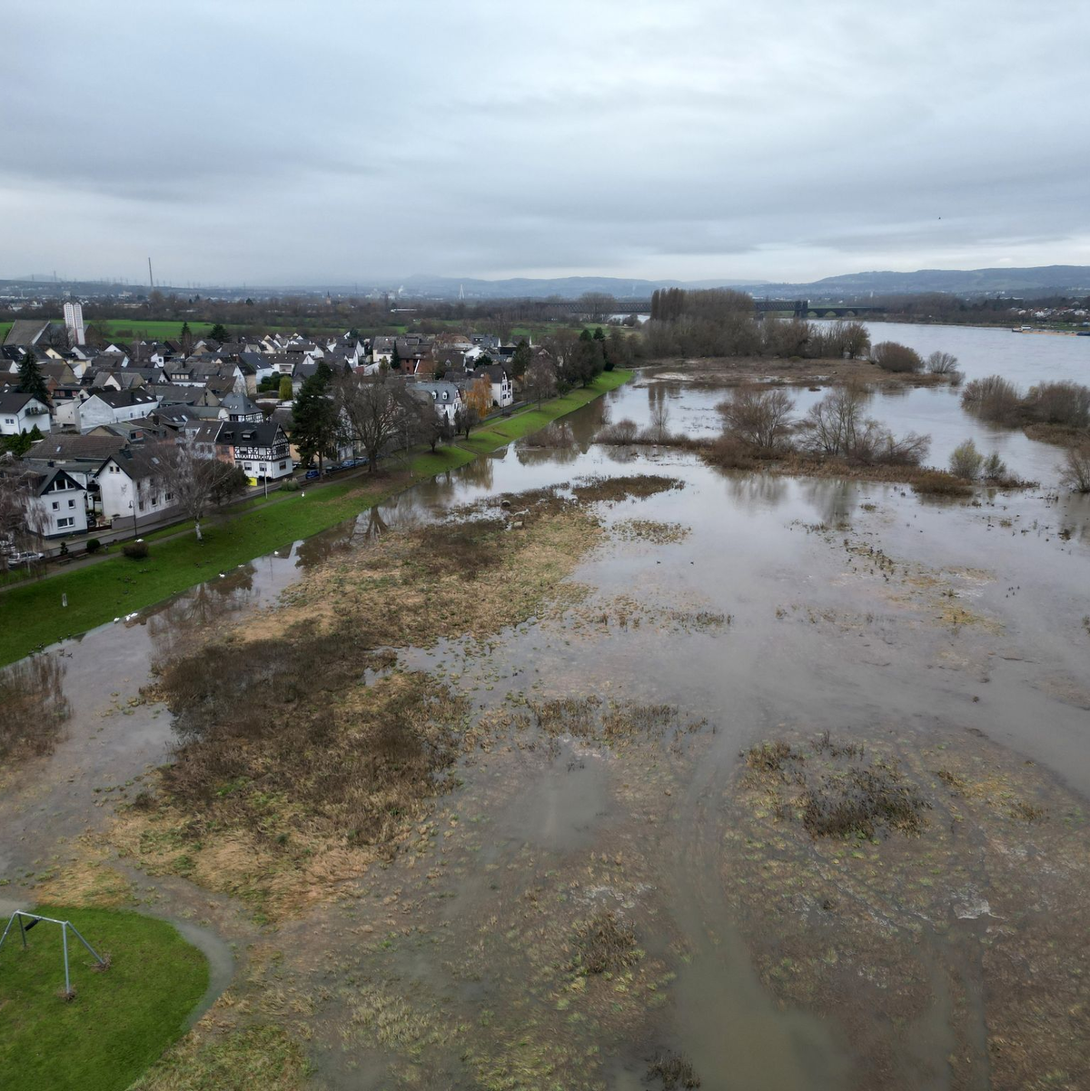 Die Uferwiese von Kaltenengers ist vom Hochwasser des Rheins überflutet. - Foto: Thomas Frey/dpa