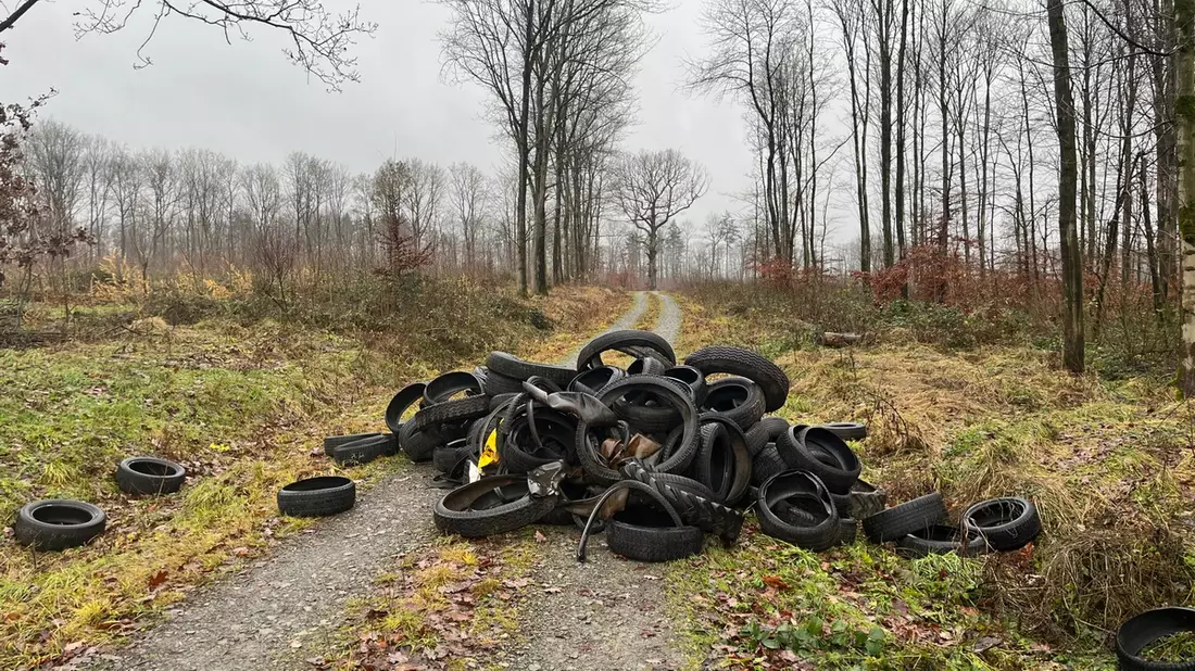 POL-HM: Altreifen in Natur entsorgt - Wer kann Hinweise geben? - Bild: presseportal.de