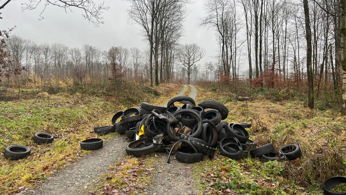 POL-HM: Altreifen in Natur entsorgt - Wer kann Hinweise geben? - Foto: presseportal.de