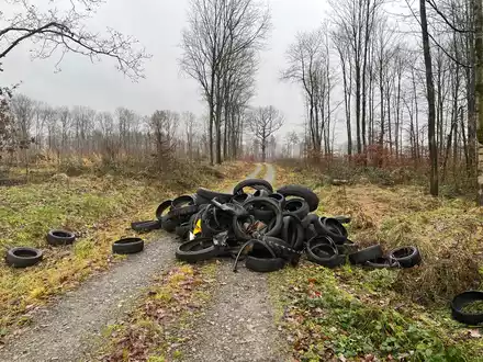 POL-HM: Altreifen in Natur entsorgt - Wer kann Hinweise geben? - Foto: presseportal.de