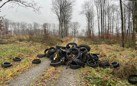 POL-HM: Altreifen in Natur entsorgt - Wer kann Hinweise geben? - Foto: presseportal.de