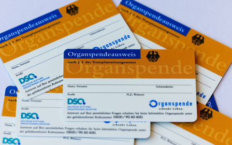 Um mehr Menschen als potenzielle Organspender zu gewinnen, haben zwei Wirtschaftswissenschaftler eine Lotterie vorgeschlagen. - Foto: Rolf Vennenbernd/dpa