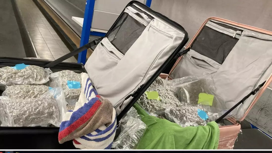 HZA-M: Zoll zieht knapp 60 Kilogramm Marihuana aus dem Verkehr - Bild: presseportal.de