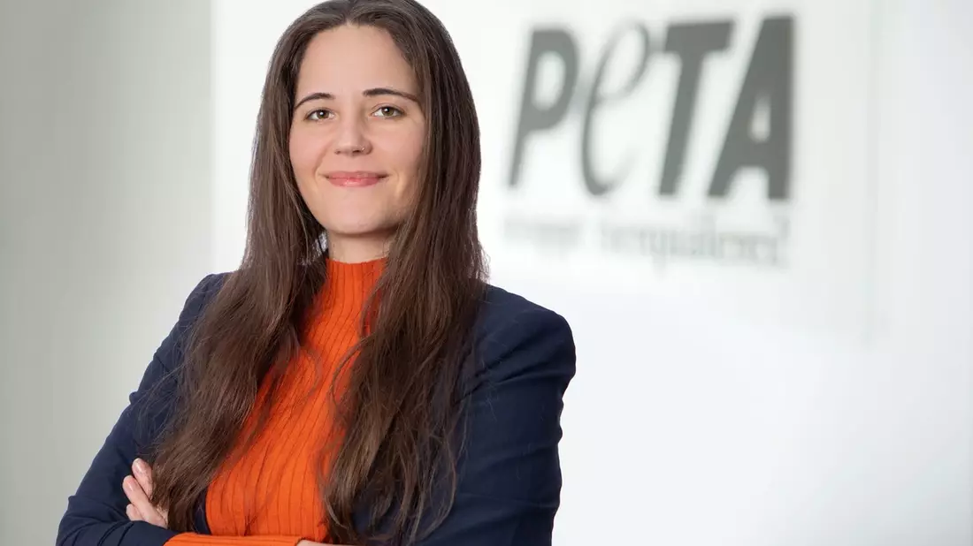 Bayern will Verbot der Anbindehaltung verhindern! PETA: Freistaat nimmt Tierquälerei billigend in Kauf - Bild: presseportal.de