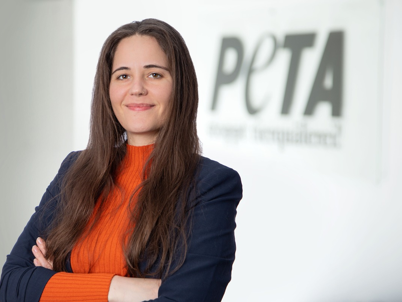 Bayern will Verbot der Anbindehaltung verhindern! PETA: Freistaat nimmt Tierquälerei billigend in Kauf - Foto: presseportal.de