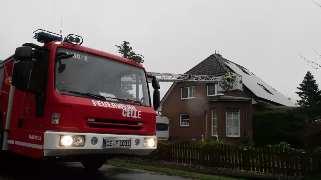 FW Celle: Eingeklemmter Waschbär - Bild: presseportal.de