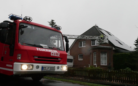 FW Celle: Eingeklemmter Waschbär - Foto: presseportal.de