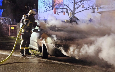 FW-Radolfzell: Fahrzeugbrand und weitere Einsätze - Foto: presseportal.de