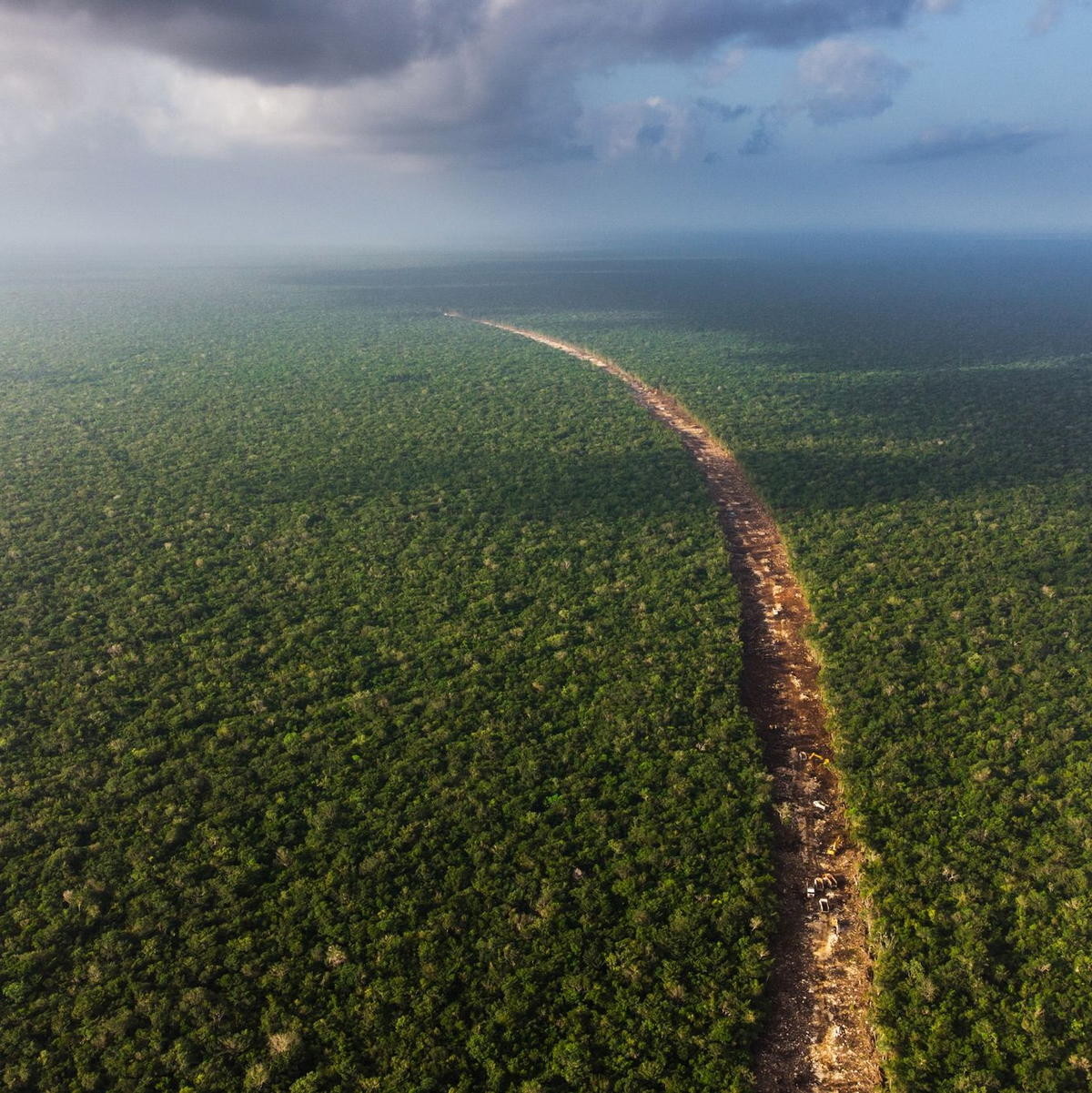 Eine gerodete Schneise zieht sich durch den mexikanischen Dschungel im Gebiet Quintana Roo. - Foto: Fernando Martinez Belmar/FMB/dpa