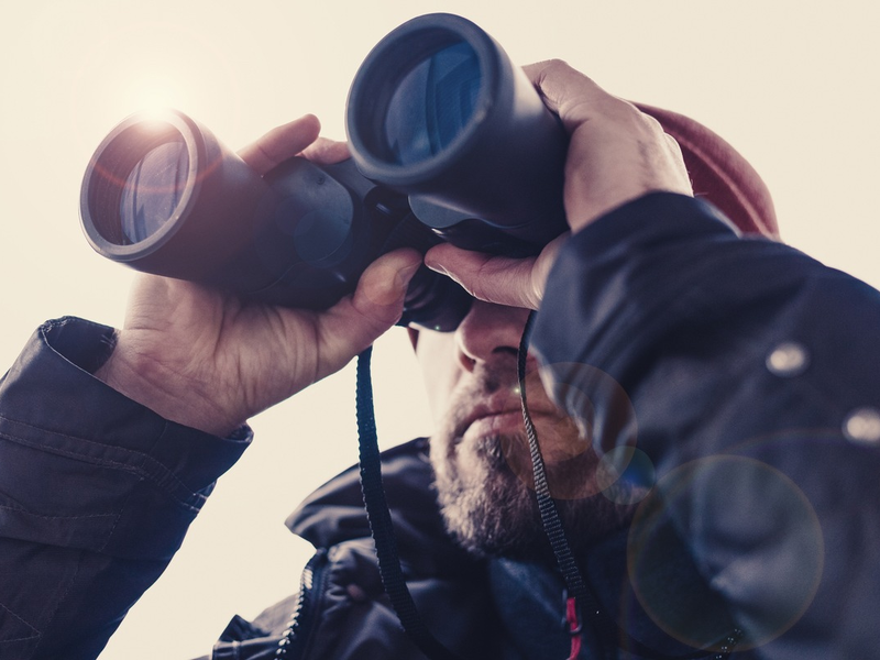 BG BAU: Was sich 2024 ändert - Foto: presseportal.de