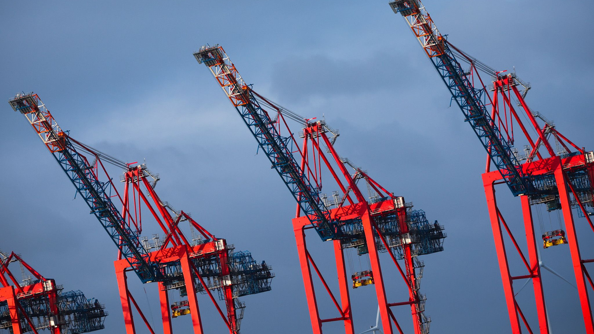 Containerbrücken am Containerterminal von Eurogate im Hamburger Hafen. - Foto: Christian Charisius/dpa