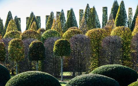 Bund deutscher Baumschulen (BdB) kritisiert den geplanten Wegfall des Agrardiesels als völlig verfehlte Entscheidung - Foto: presseportal.de