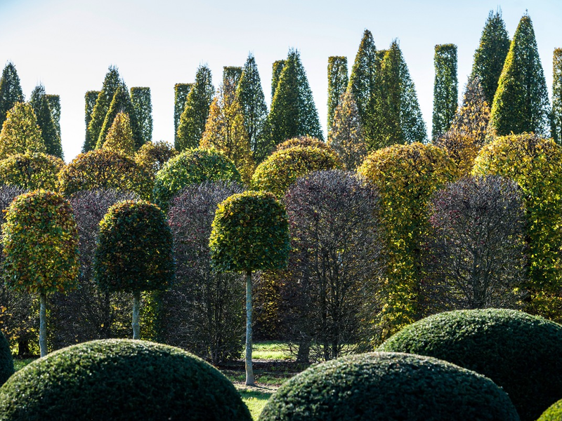 Bund deutscher Baumschulen (BdB) kritisiert den geplanten Wegfall des Agrardiesels als völlig verfehlte Entscheidung - Foto: presseportal.de