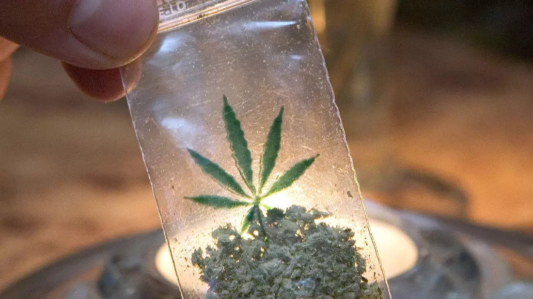 Die Niederlande starten ein Experiment mit dem Handel von legal angebautem Marihuana. - Bild: picture alliance / dpa