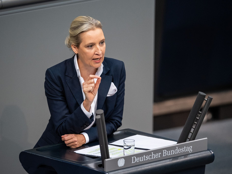 Die Universität Bayreuth prüft einen Plagiatsverdacht gegen AfD-Chefin Alice Weidel. - Foto: Melissa Erichsen/dpa