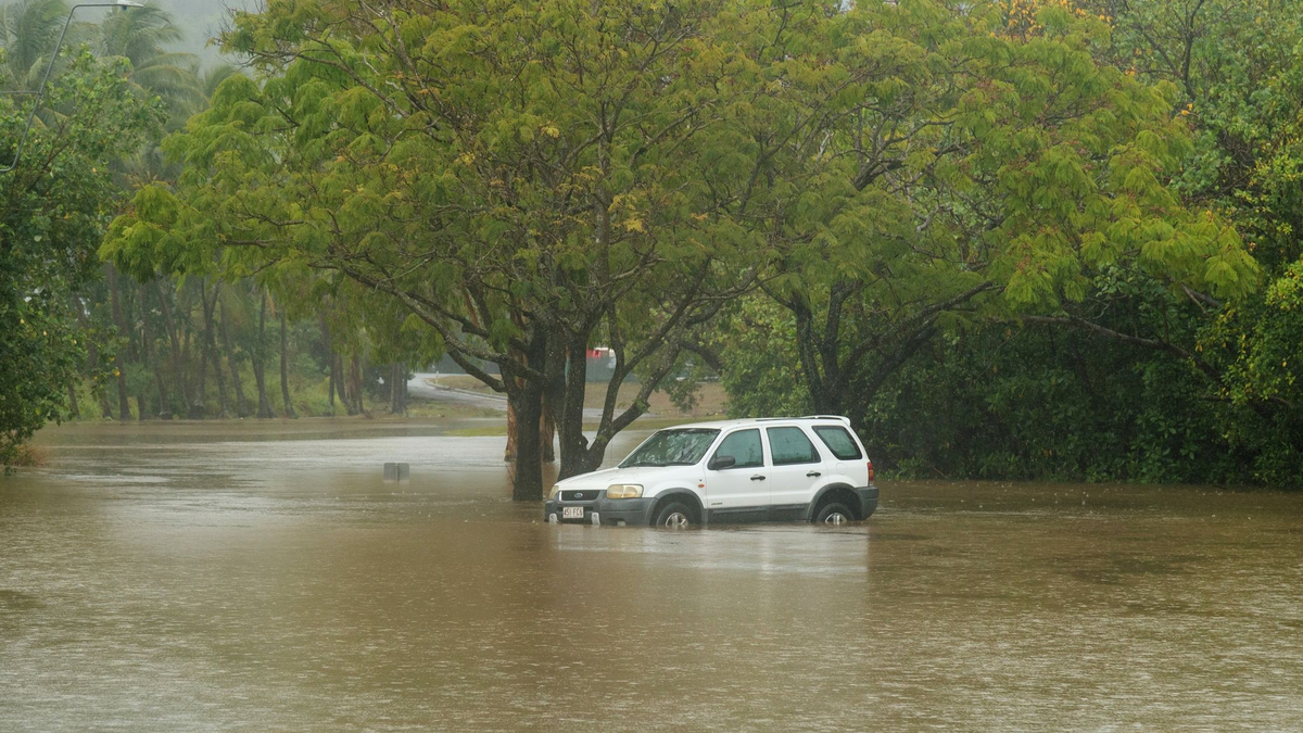 Umgestürzte Bäume nach starken Winden durch den Zyklon «Jasper» an einer Straße  in Cairns an der australischen Ostküste. - Foto: Joshua Prieto/AAP/dpa