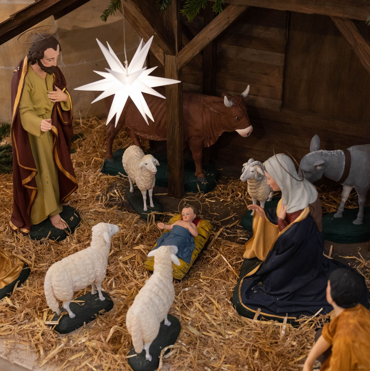 Krippe mit dem Jesuskind mit Ochs, Esel und Schafen. - Foto: Friso Gentsch/dpa