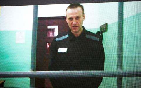 Alexej Nawalny während einer Live-Übertragung vor dem Obersten Gerichtshof in Russland. Der in Haft verschwundene Kremlgegner ist erneut nicht zu einer Gerichtsverhandlung erschienen. - Foto: Alexander Zemlianichenko/AP/dpa