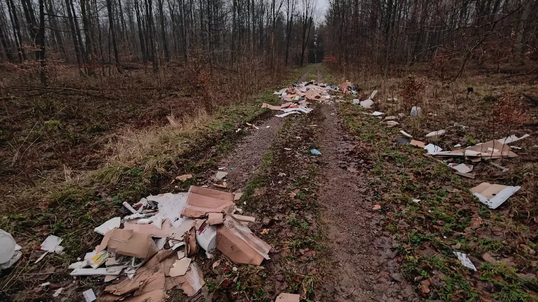 POL-HM: Bauschutt unerlaubt im Süntel-Wald entsorgt - Bild: presseportal.de