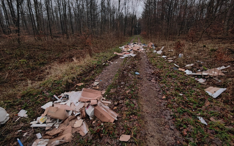 POL-HM: Bauschutt unerlaubt im Süntel-Wald entsorgt - Foto: presseportal.de