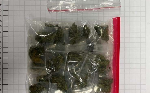 BPOL NRW: Bundespolizei nimmt mutmaßlichen Drogendealer im Hbf Bochum fest - Foto: presseportal.de