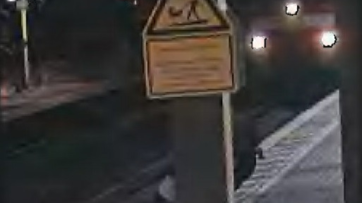 BPOL-H: Mann fällt ins Gleis; Heranwachsender rettet ihm in letzter Sekunde das Leben - Foto: presseportal.de