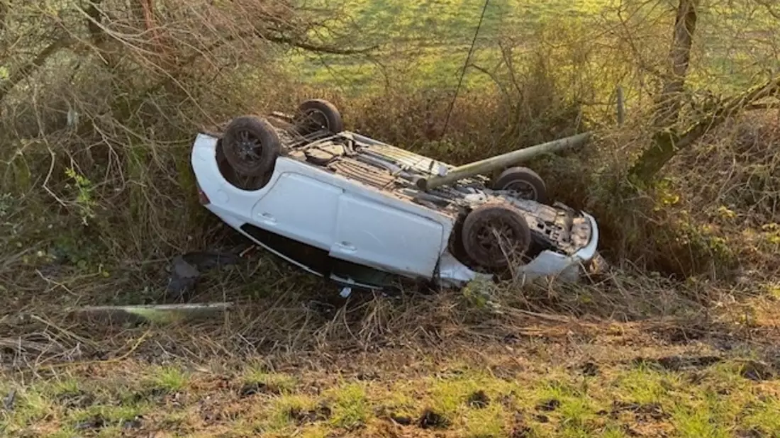 POL-PPWP: Pkw überschlägt sich - Fahrer verletzt - Bild: presseportal.de
