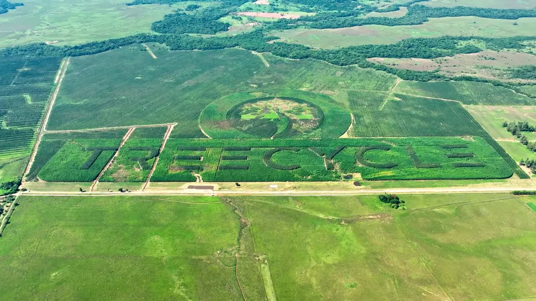 In Paraguay wächst des größte Naturlogo der Welt / Treecycle setzt Guinness-Weltrekord - Bild: presseportal.de