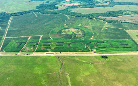 In Paraguay wächst des größte Naturlogo der Welt / Treecycle setzt Guinness-Weltrekord - Foto: presseportal.de