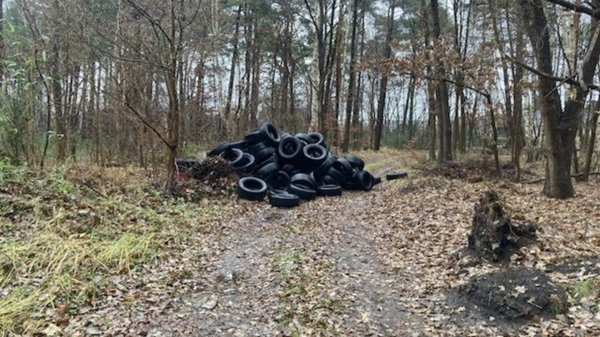POL-STD: Kabeldiebe in Buxtehude, Einbrecher in Agathenburger Merzweckhalle, Unbekannte 