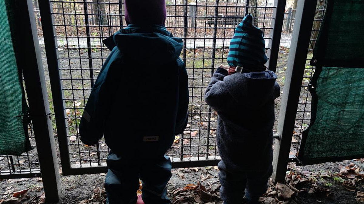 Kinder hinter einem Gitter (Archiv) - Foto: über dts Nachrichtenagentur