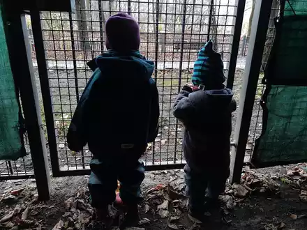 Kinder hinter einem Gitter (Archiv) - Foto: über dts Nachrichtenagentur