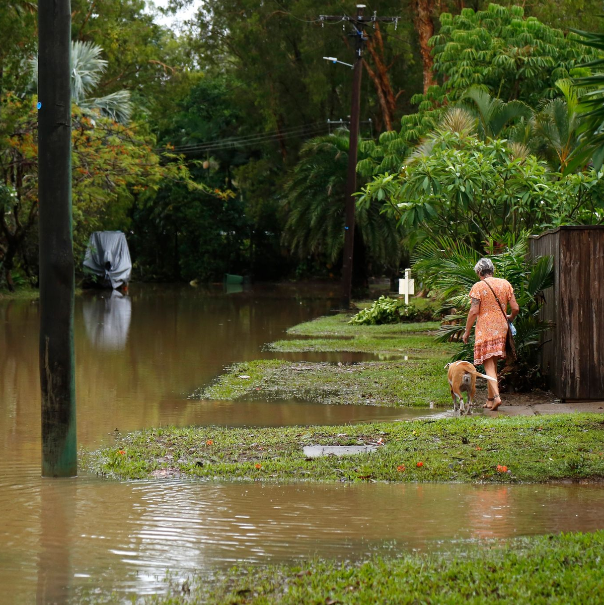 Eine Frau spaziert mit ihrem Hund durch das Hochwasser im Vorort Holloways Beach in Cairns. - Foto: Joshua Prieto/AAP/dpa