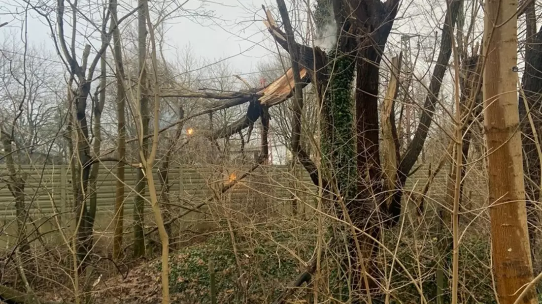 FW Bremerhaven: Warnung vor orkanartigen Böen hat weiterhin Bestand - Bild: presseportal.de