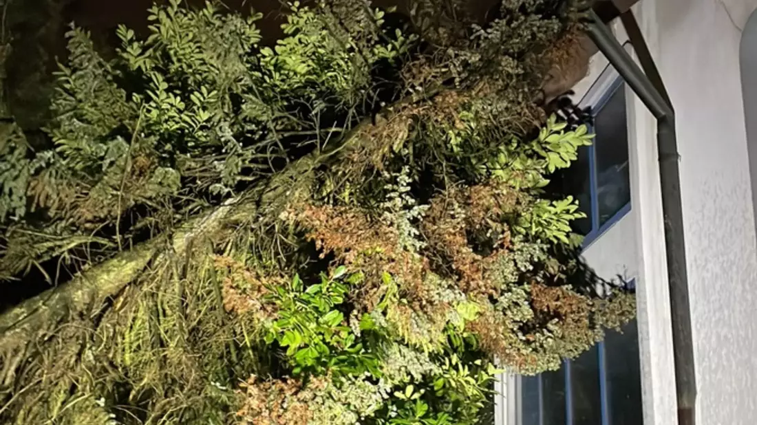 FW-GLA: Sturmtief Zoltan fegt durch Gladbeck - Feuerwehr im Einsatz - Bild: presseportal.de