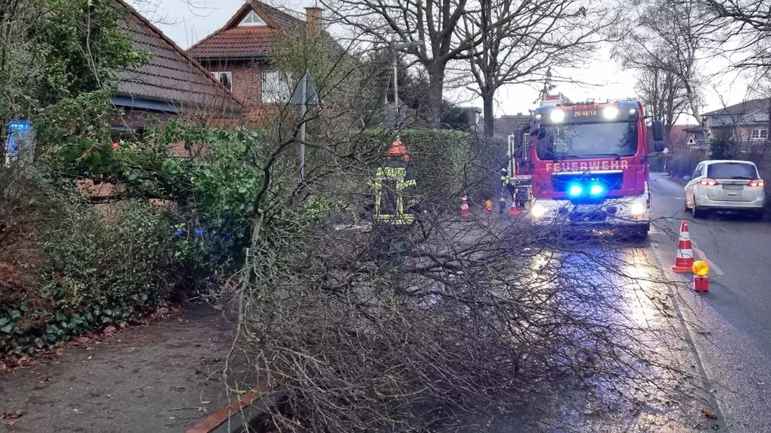 FFW Schiffdorf: Baum blockiert Straße und Gehweg - Bild: presseportal.de