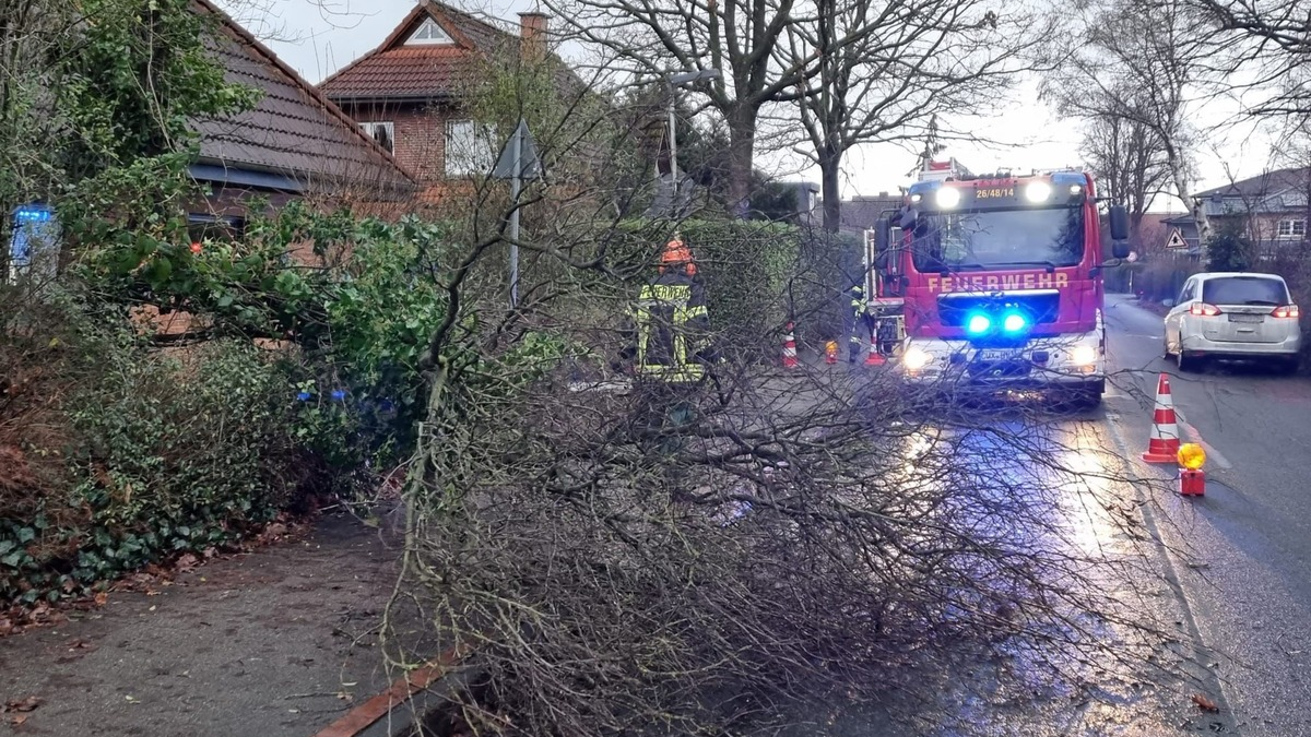 FFW Schiffdorf: Baum blockiert Straße und Gehweg - Foto: presseportal.de