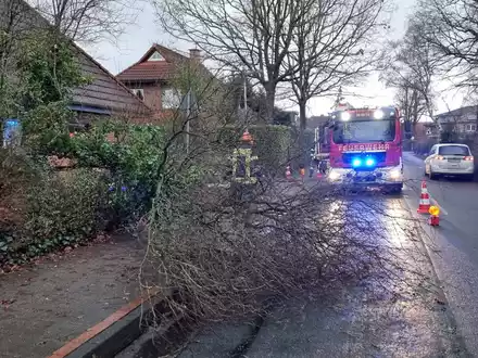 FFW Schiffdorf: Baum blockiert Straße und Gehweg - Foto: presseportal.de
