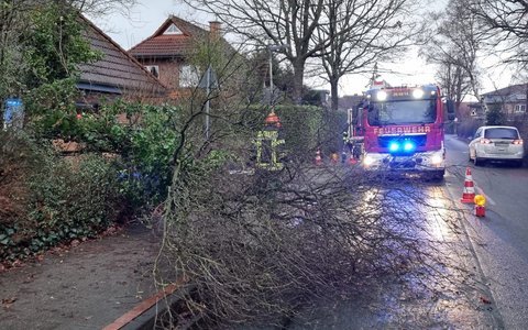 FFW Schiffdorf: Baum blockiert Straße und Gehweg - Foto: presseportal.de