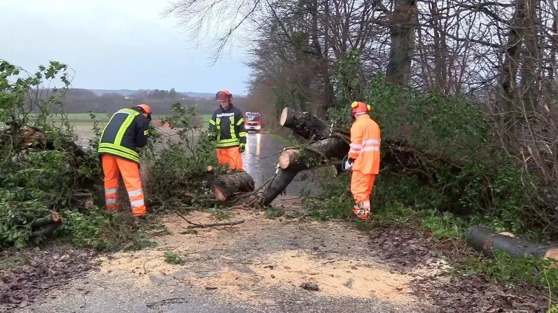 Einsatzkräfte der Feuerwehr zersägen in Lotte-Wersen im Tecklenburger Land (NRW) einen auf die Straße gestürzten Baum. - Bild: David Poggemann/NWM-TV/dpa