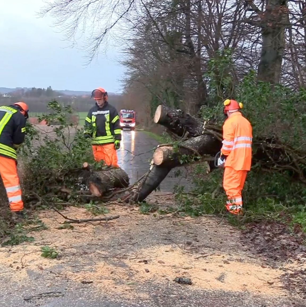 Einsatzkräfte der Feuerwehr zersägen in Lotte-Wersen im Tecklenburger Land (NRW) einen auf die Straße gestürzten Baum. - Foto: David Poggemann/NWM-TV/dpa