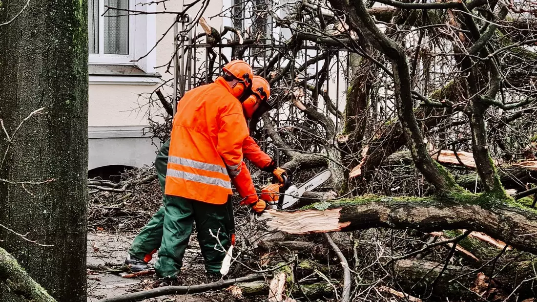 FW-RE: Sturmtief Zoltan verursacht Sturmschäden im Stadtgebiet - Mehrere Löschzüge im Einsatz - Bild: presseportal.de