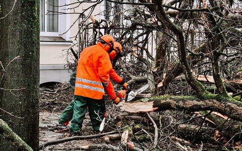 FW-RE: Sturmtief Zoltan verursacht Sturmschäden im Stadtgebiet - Mehrere Löschzüge im Einsatz - Foto: presseportal.de